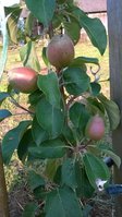 WP_20160626_001.jpg