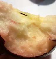 ВильямсПрайд2.jpg