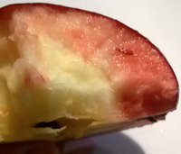 ВильямсПрайд3.jpg