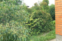 P1220163.JPG