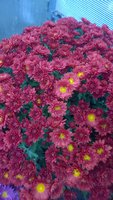 WP_20161018_014.jpg