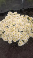 WP_20161018_031.jpg