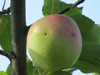 IMG_8091.JPG
