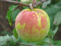 IMG_5053.JPG