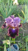 P_20160514_180820_1_p.jpg