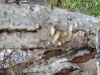 20161016_085852.jpg