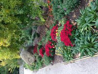 IMG_4380.JPG