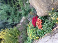 IMG_4381.JPG