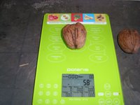 SL735380.JPG
