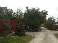 SL735440.JPG