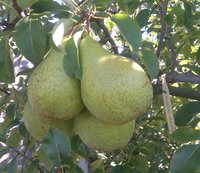 IMG_20161026_230435.JPG