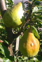 IMG_20161026_230536.JPG