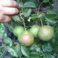 IMG_20161026_233054.JPG