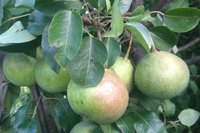 IMG_20161026_233204.JPG