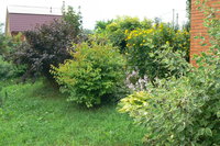 P1100915.JPG