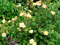 DSC09887.JPG