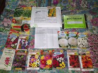 042-2.jpg