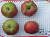 Дочь Мекинтоша-16-41.JPG