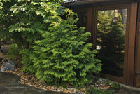 00d071995be4a5ef3a562f29cec809a7de08e632.jpg