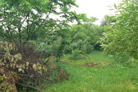 P1260476.JPG