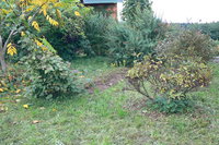P1140001.JPG