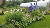 2016-07-07 18.41.49.jpg
