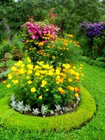 DSC07301.JPG
