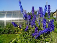 IMG_20160703_081733.jpg