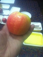 IMG_0894.jpg