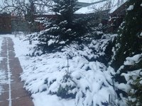 IMG_4074.JPG