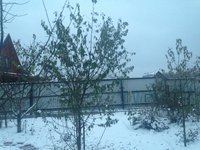 IMG_4075.JPG
