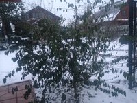 IMG_4078.JPG