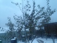 IMG_4079.JPG