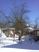IMG_20130308_134831.jpg