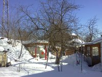 IMG_20130308_134824.jpg