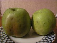 IMG_0001.JPG