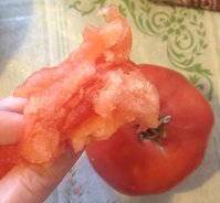 FullSizeRender (7).jpg