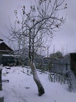IMAG3425.jpg