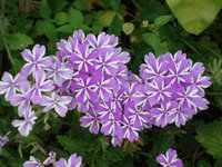 DSC01351.JPG
