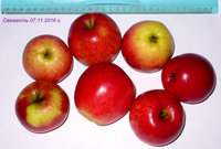 P1080438-2.jpg