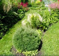 IMG_20160705_113954.jpg