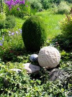IMG_20160728_153152.jpg