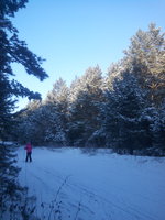 IMG-20161113-WA0003.jpeg