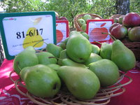 IMG_5761.JPG