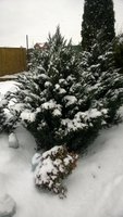 WP_20161115_071.jpg