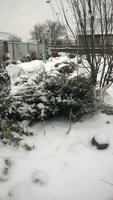 WP_20161115_069.jpg