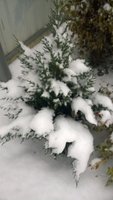 WP_20161115_038.jpg