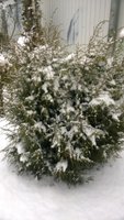 WP_20161115_033.jpg