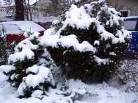 IMG_1742.JPG