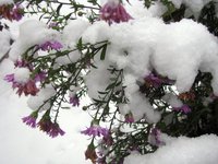 IMG_1752.JPG